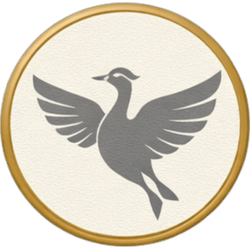 thelanguagec profile picture